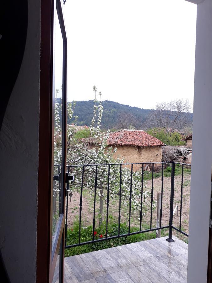 Popovi Koshari Guest House Dolno Panicherevo Экстерьер фото